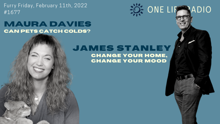 James Stanley interview with One Life Radio: Furry Friday Maura Davies - Can Pets Catch Cold, James Stanley - Change Your Home, Change Your Mood #1677